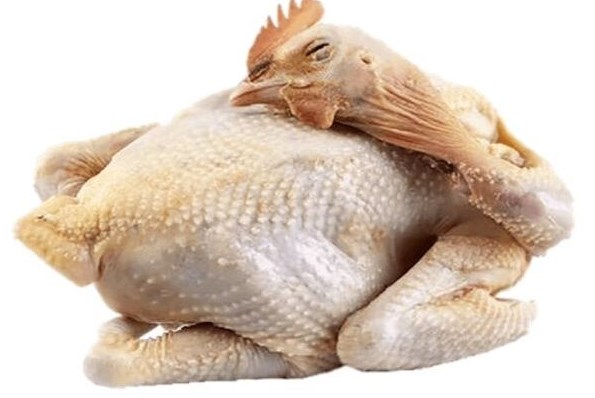 10 Jual Ayam Potong terdekat Matraman